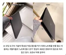 트렌-디한 개발자들 채신 유행