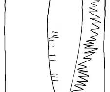 원피스) 베가펑크가 머리 자른 이유.jpg