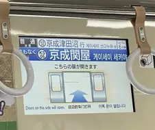 개새야