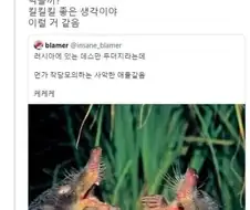 시1발 러시아 소설 좀 그만 봐요