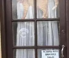 하도 오해해서 써놓은 문구