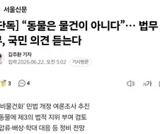동물을 현행법상 ＇물건＇ 으로 보는 민법을 개정 준비중.law