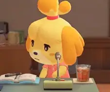 서양인들이 문화를 몰라서 일어난 동숲 참사