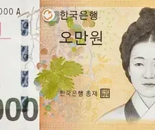 일상생활에서 쉽게 삶의 질을 올릴 수 있는 아이템