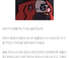 강아지 코딩이 잘못됨.jpg