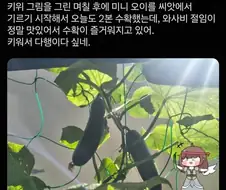 트릭컬] 큐이에 진심인 일본 큐이맘들.jpg