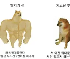 딸치기 전 vs 후