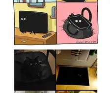 검은 고양이 만화.manwha