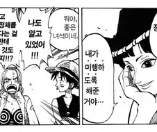 원피스)"날 동료로 받아줄래?"