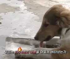 덥지만 풍족했던 94년.jpg