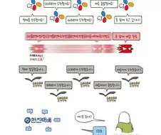 한국 택배사별 특징