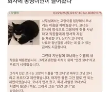 어쩌라고 휴먼 코너