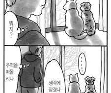 유기견 키우는 .manhwa