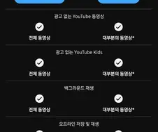 유튜브 프리미엄 꼴받게 하는거