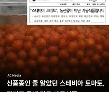 스테비아 토마토의 냉혹한 진실.jpg