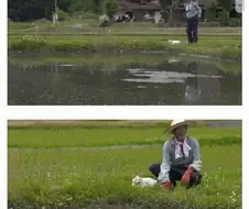 할아버지와 고양이