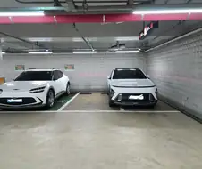 보고 나면 몇 초 후에 화나는 포인트가 달라진다는 주차 짤