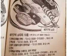 미스터초밥왕 전국대회 결승전에 나온 초밥 구성