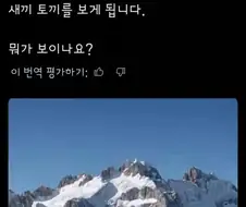 좌뇌 우뇌에 따라 다르게 보인다는 사진인데...