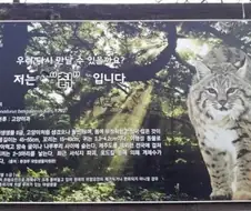 여름에 모르고 먹는 잔인한 음식