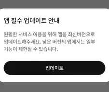 앱 업데이트 팝업 진짜 싫은 타입