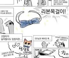 고양이한테 리본 목걸이 해주는 만화
