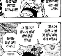 원피스) 어처구니 없지만 납득은 가는 전개