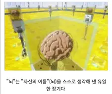 생각해보면 당연한데 낯선 상식