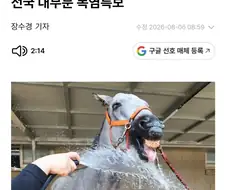 폭염 기사 보다가 피식함 ㅋㅋㅋ