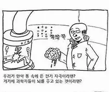 통속의 뇌속의 통속의 뇌 만화