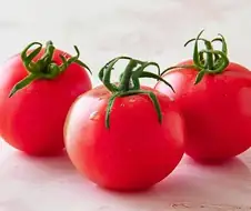 사과드립니다
