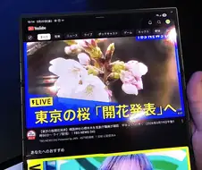 겔럭시 스토어에서 트라이폴드 봤는데