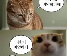 축협 요약