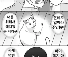 은혜도 모르는 캔따개 만화