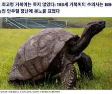 193세 최고령 거북이 수의사 사칭 계정에 BBC도 속아