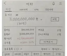 "자산 30억 찍음"