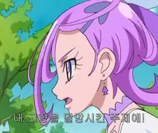 연좌제 반대하는 프리큐어 악역.jpg