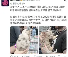 애완동물로 포켓몬 카드를 거래하려는 사람