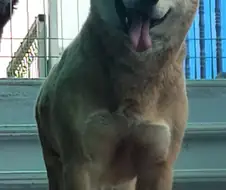 쭈인 덥다!!