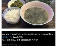 외국인들은 이해못하는 해산물