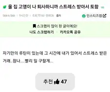 의외로 고양이가 싫어하는 것