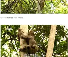 똥싸다 사망.jpg