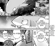 상어의 한자인 교(鮫)에 대한 흥미로운 가설