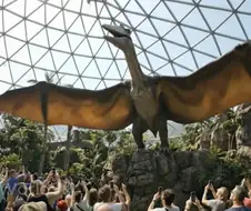 AI) ???: "와우 진수성찬이 잔뜩 있네."