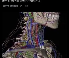 케이블 관리가 엉망이다