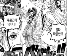 원피스) 뒤바뀐 피해자와 가해자