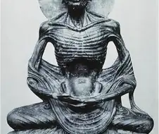 마운자로로 알게된 다이어트의 진리