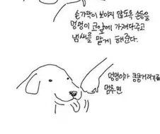 처음본 강아지 머리 쓰다듬는 방법.manwha