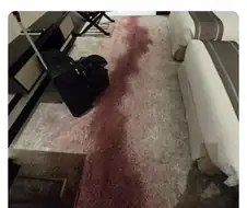 제 친구가 작은 와인잔을 쏟아서요