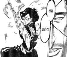 블리치)팔경검이 욕을 먹었던 큰 이유